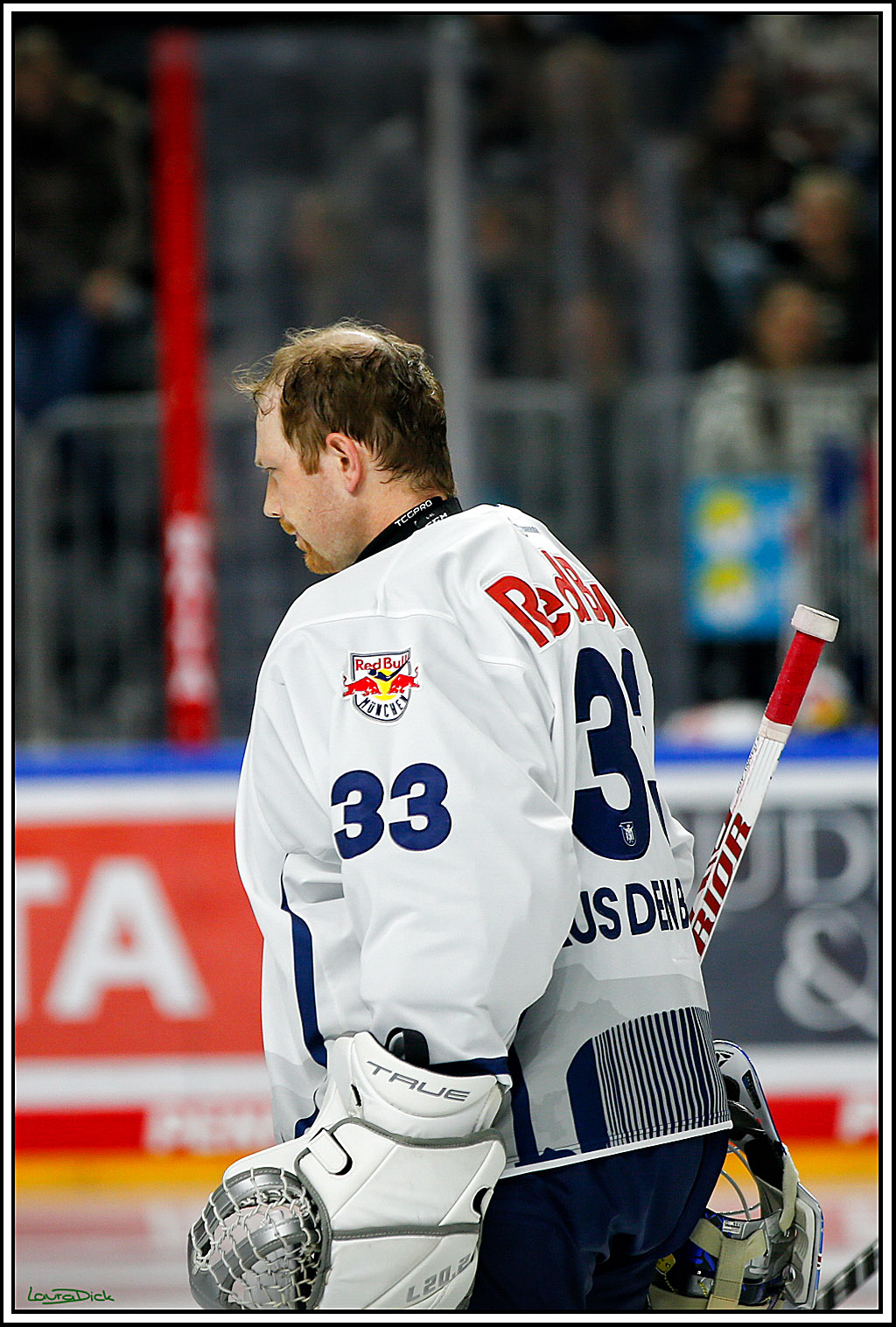 PENNY DEL; Koelner Haie- Red BUll Muenchen; Koeln, 08.11.2022